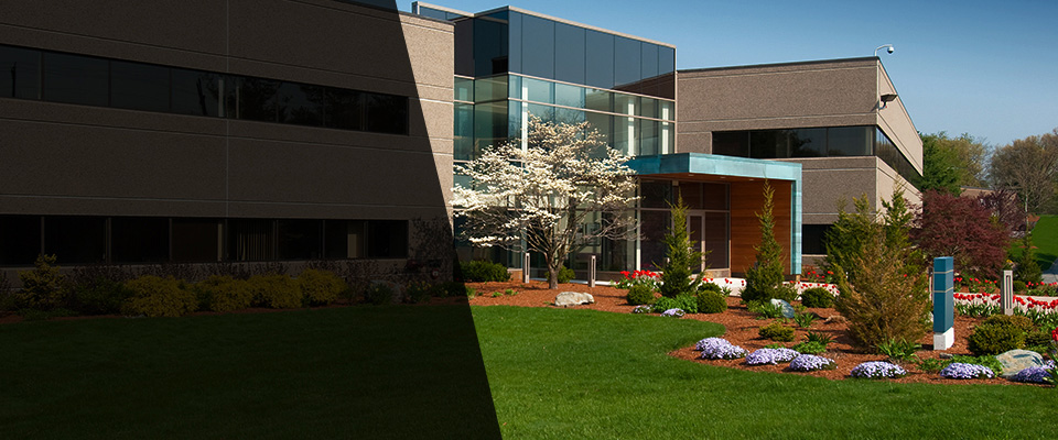 Mauston Landscapers
