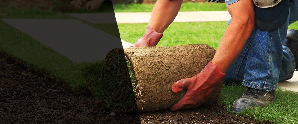 Mauston Landscapers